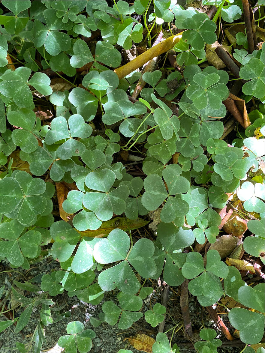 Photo by Jaeden Walton